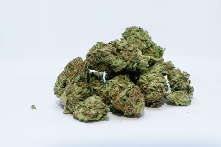 autoflower zaden autoflower zaden