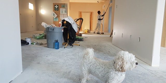 almere huis te koop almere huis te koop