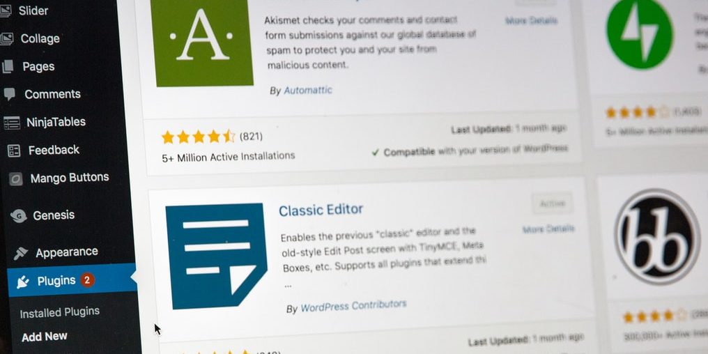 Wordpress designer