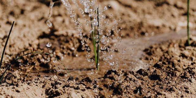 buitenruimte duurzaam